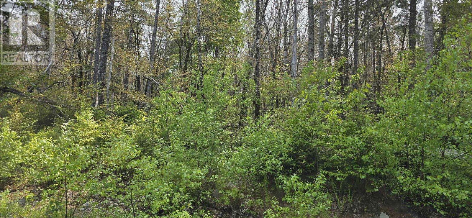 Lot 4 Nathan Croft Road, Camperdown Meadows, Camperdown, Nova Scotia  B4V 6T9 - Photo 8 - 202501239