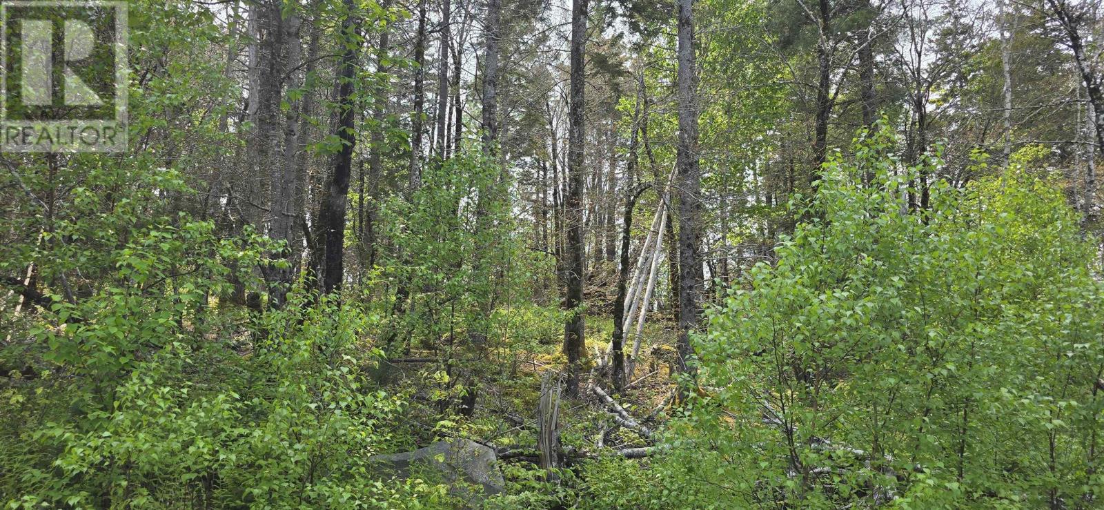 Lot 2 Nathan Croft Road, Camperdown Meadows, Camperdown, Nova Scotia  B4V 6T9 - Photo 10 - 202501241