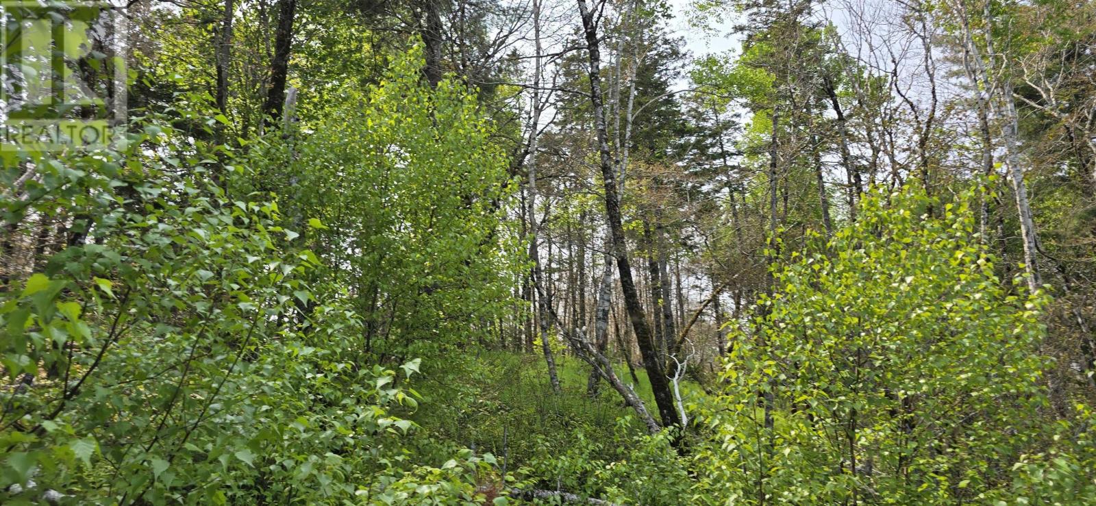 Lot 2 Nathan Croft Road, Camperdown Meadows, Camperdown, Nova Scotia  B4V 6T9 - Photo 11 - 202501241