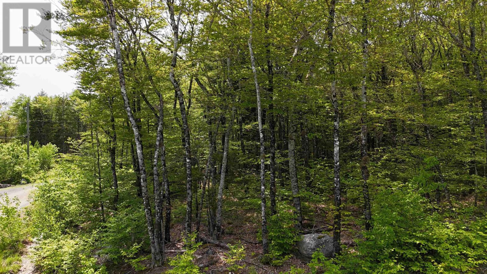 Lot 2 Nathan Croft Road, Camperdown Meadows, Camperdown, Nova Scotia  B4V 6T9 - Photo 15 - 202501241