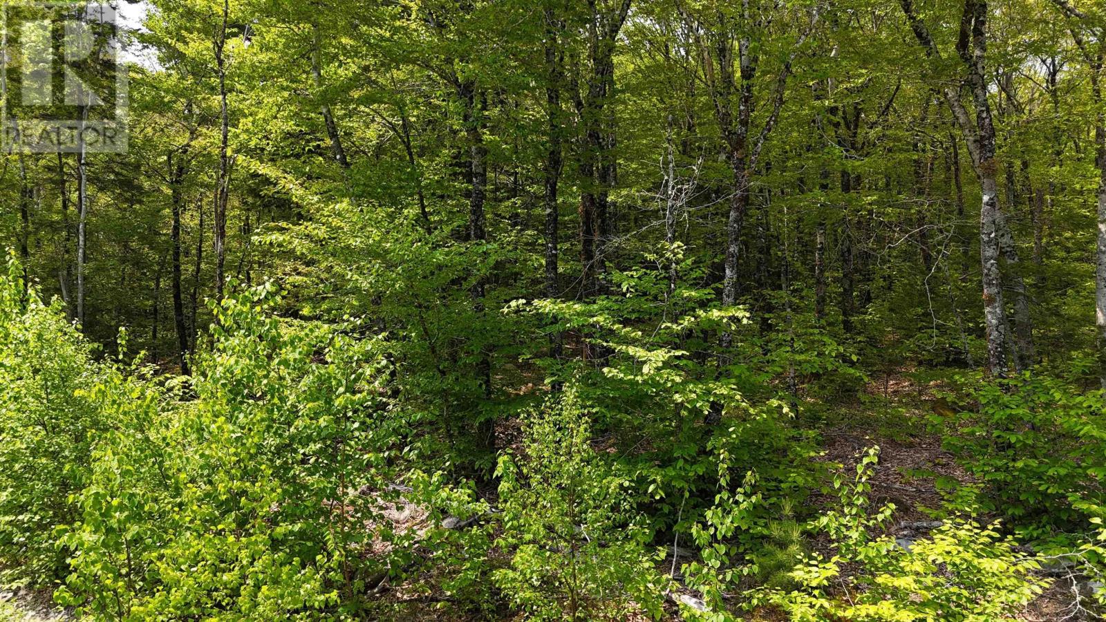 Lot 2 Nathan Croft Road, Camperdown Meadows, Camperdown, Nova Scotia  B4V 6T9 - Photo 16 - 202501241