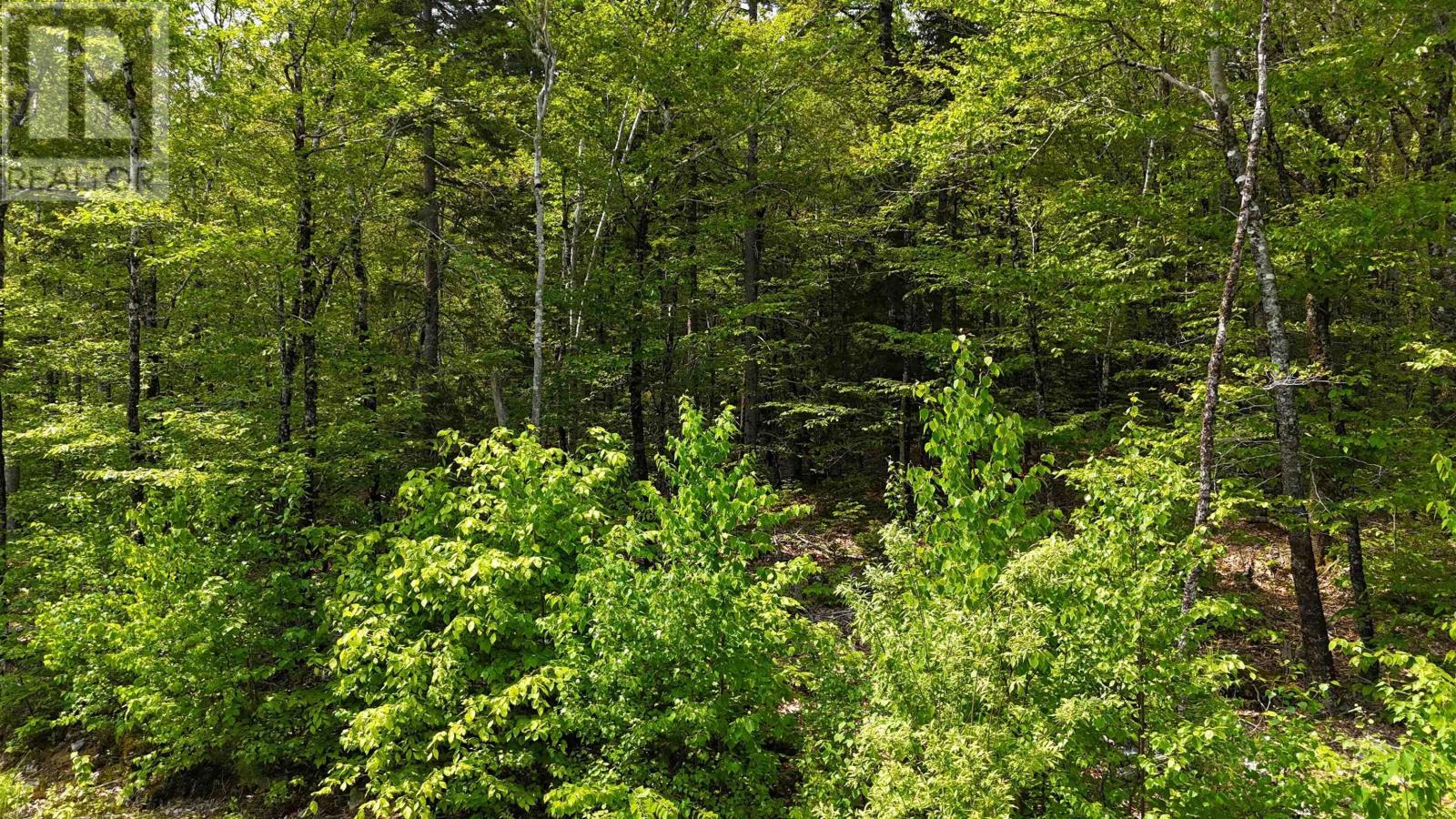 Lot 2 Nathan Croft Road, Camperdown Meadows, Camperdown, Nova Scotia  B4V 6T9 - Photo 17 - 202501241