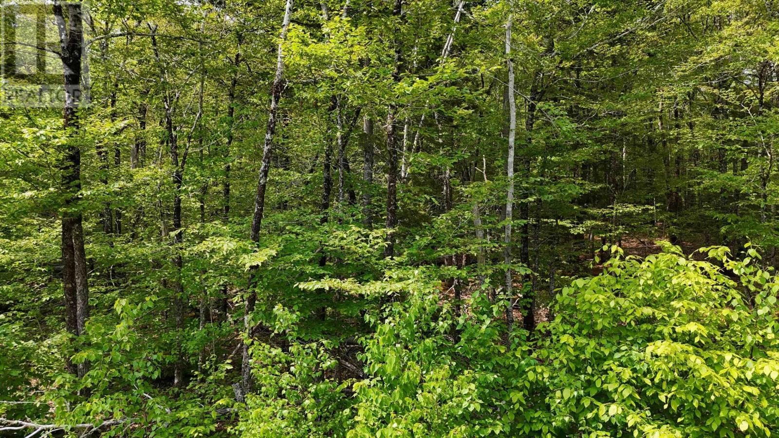 Lot 2 Nathan Croft Road, Camperdown Meadows, Camperdown, Nova Scotia  B4V 6T9 - Photo 18 - 202501241