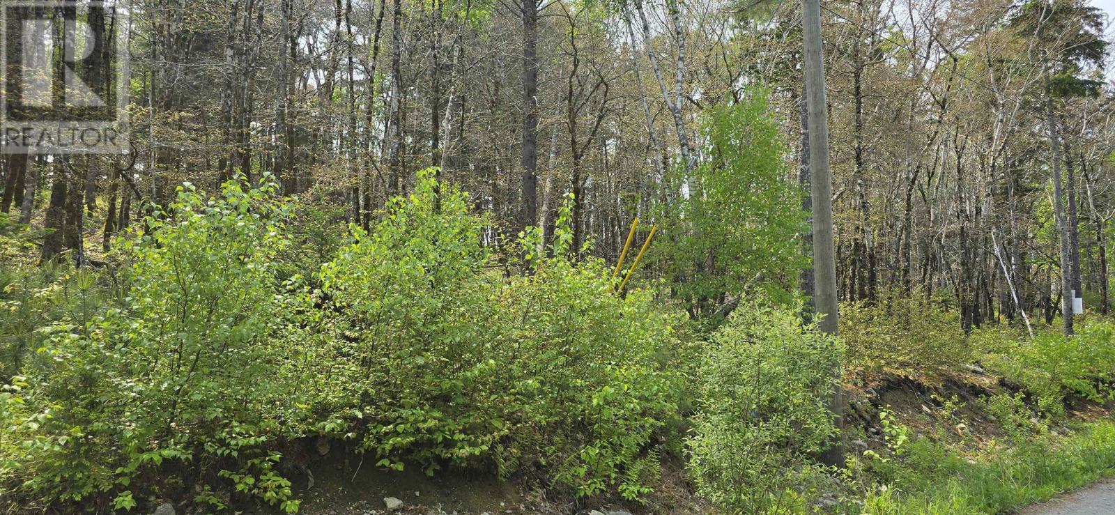 Lot 2 Nathan Croft Road, Camperdown Meadows, Camperdown, Nova Scotia  B4V 6T9 - Photo 5 - 202501241