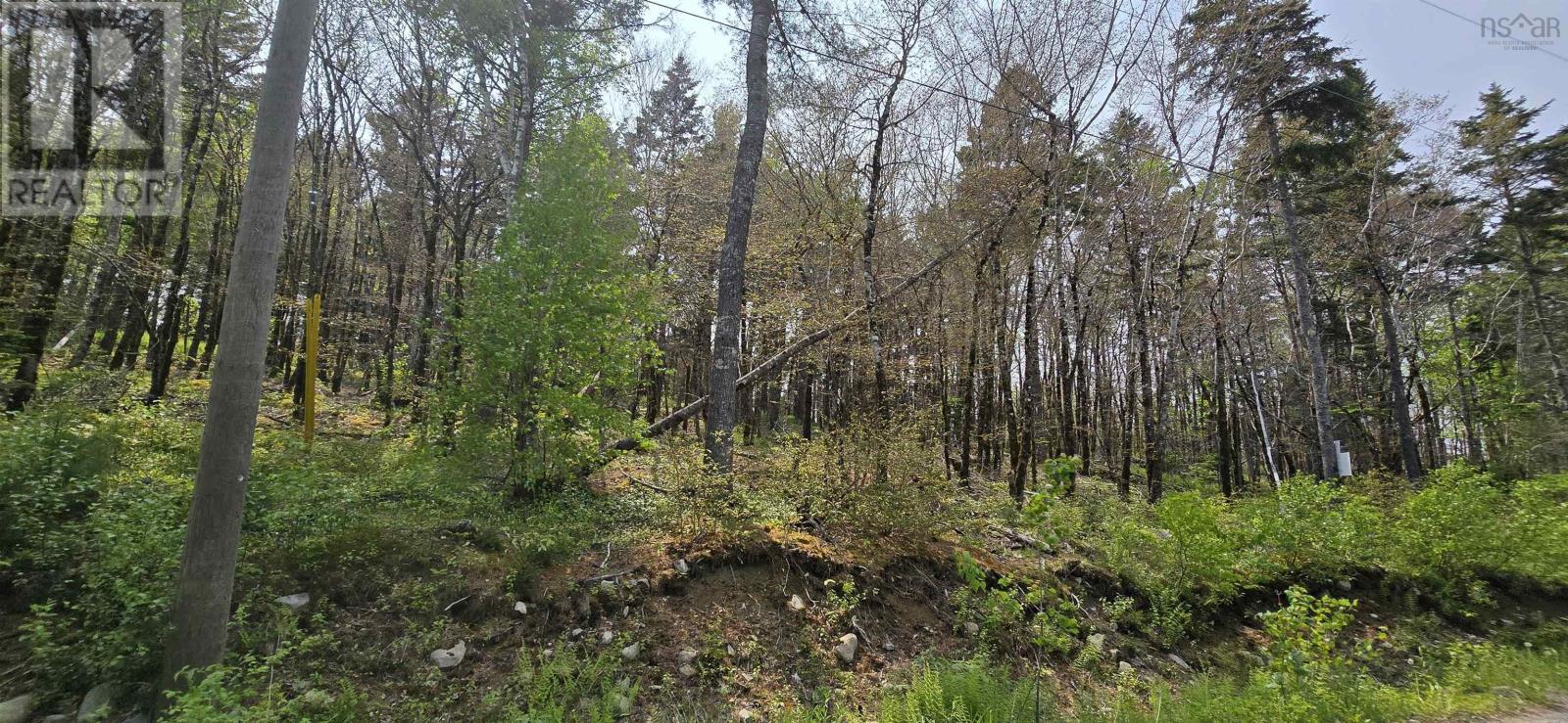 Lot 2 Nathan Croft Road, Camperdown Meadows, Camperdown, Nova Scotia  B4V 6T9 - Photo 6 - 202501241