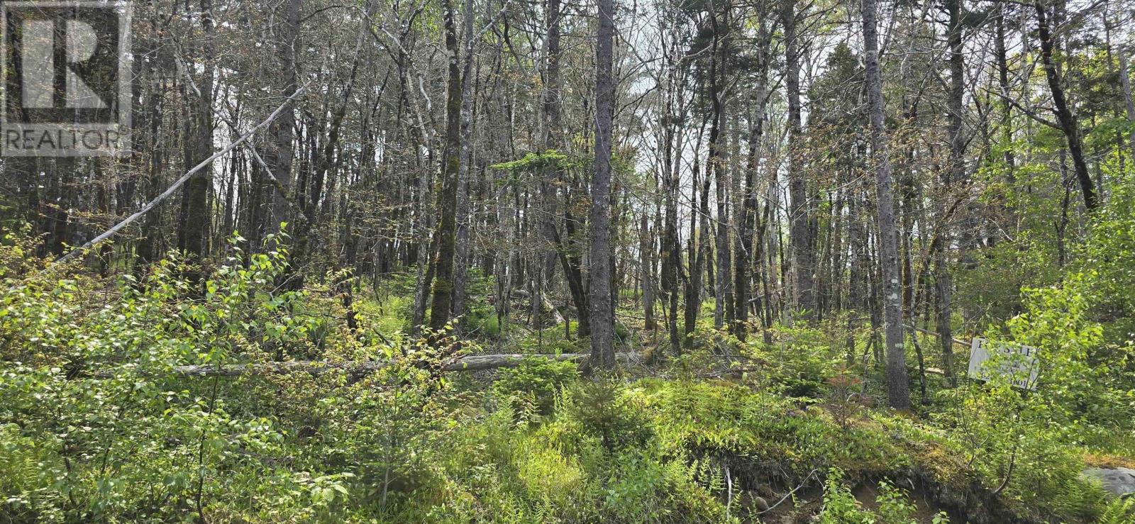 Lot 2 Nathan Croft Road, Camperdown Meadows, Camperdown, Nova Scotia  B4V 6T9 - Photo 7 - 202501241