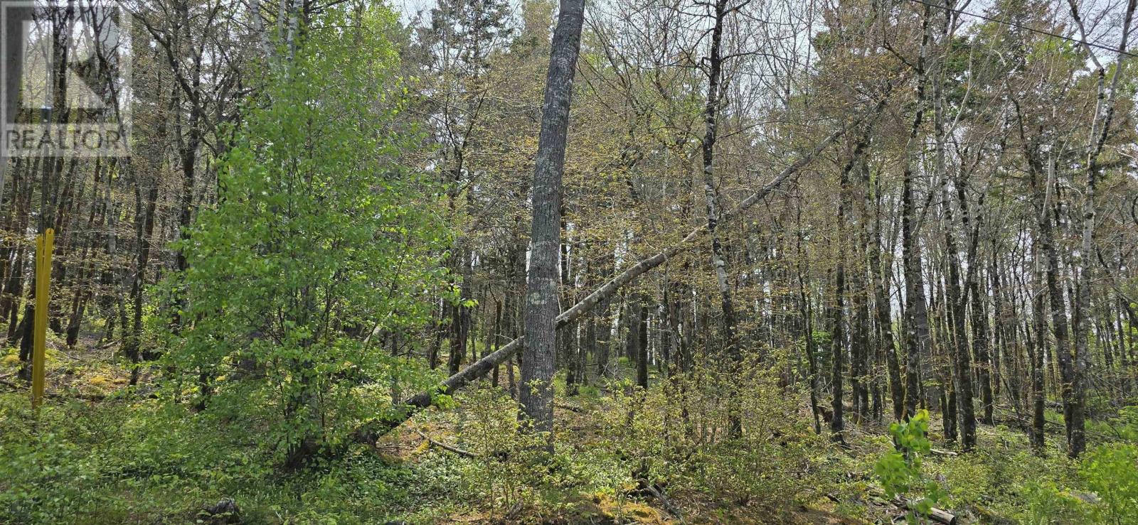 Lot 2 Nathan Croft Road, Camperdown Meadows, Camperdown, Nova Scotia  B4V 6T9 - Photo 8 - 202501241