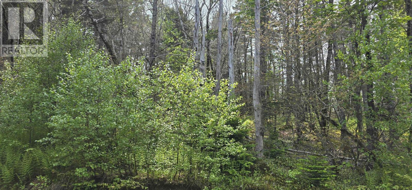 Lot 2 Nathan Croft Road, Camperdown Meadows, Camperdown, Nova Scotia  B4V 6T9 - Photo 9 - 202501241