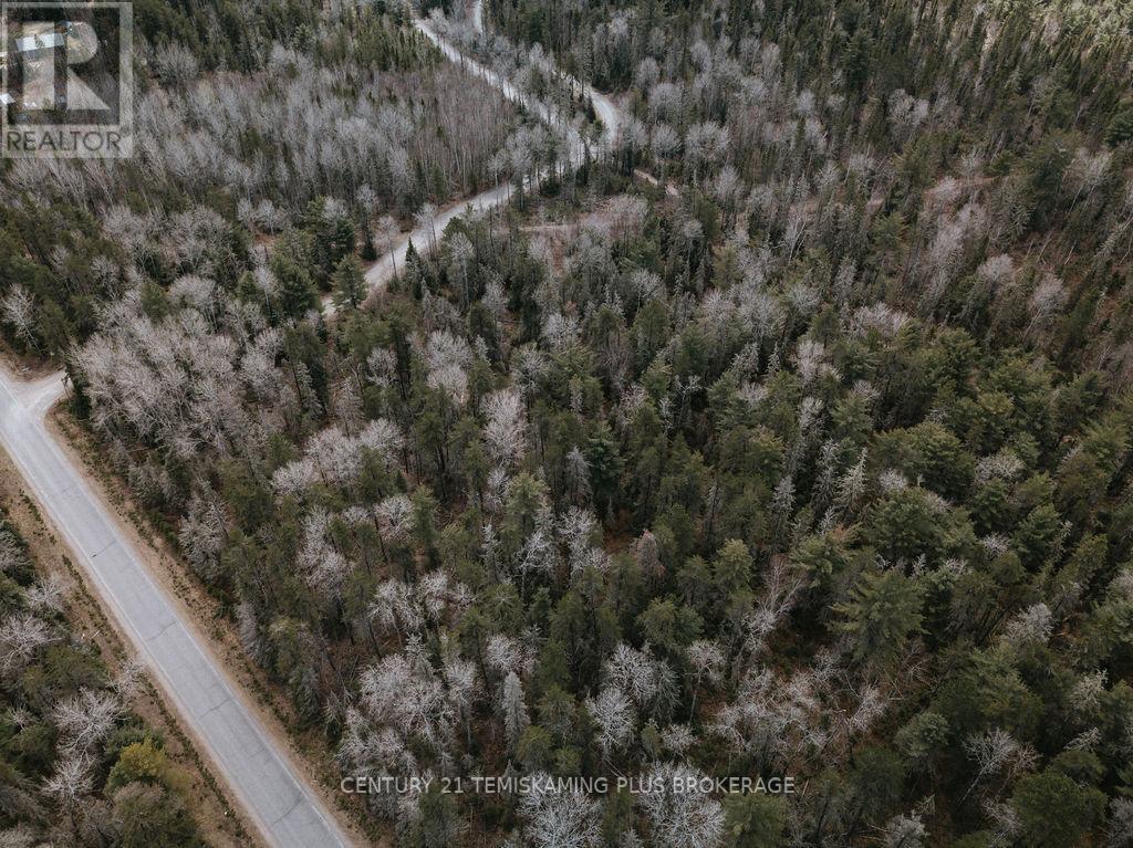 Part1&3 Part Lot 9 Con 4, Bass Lake Rd, Coleman, Ontario  P0J 1C0 - Photo 11 - T11931841