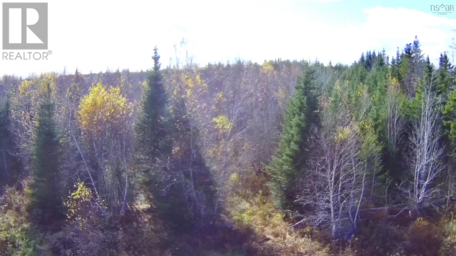 480 New Ross Road, Leminster, Nova Scotia  B0N 2T0 - Photo 39 - 202425895