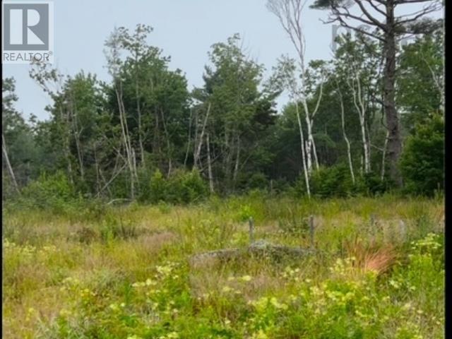Lot French Road, Plympton Station, Nova Scotia  B0W 2R0 - Photo 3 - 202501251