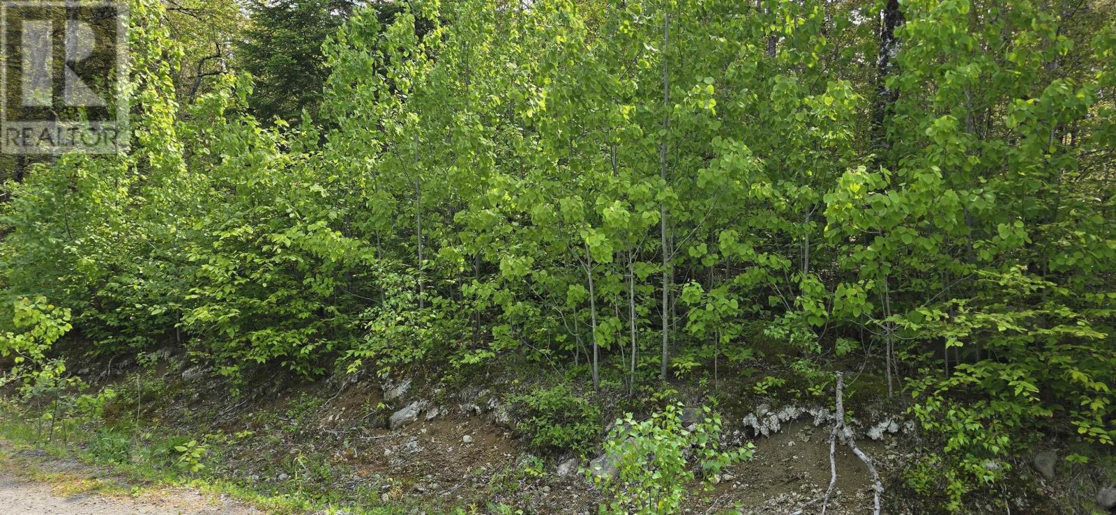 Lot 6 Nathan Croft Road, Camperdown, Nova Scotia  B4V 6T9 - Photo 10 - 202501253