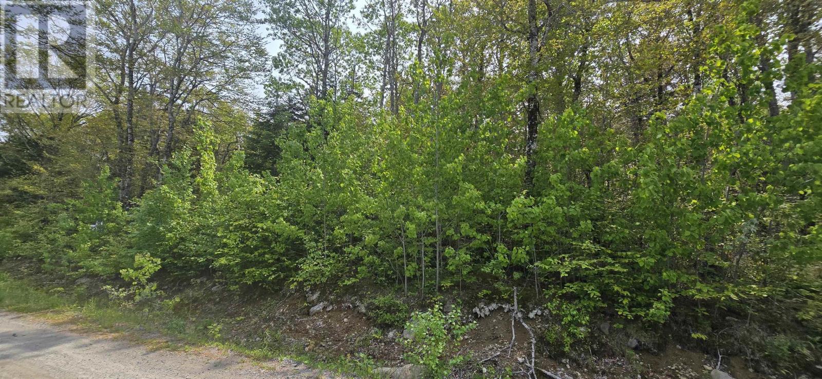 Lot 6 Nathan Croft Road, Camperdown, Nova Scotia  B4V 6T9 - Photo 11 - 202501253