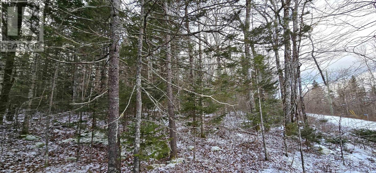 Lot 6 Nathan Croft Road, Camperdown, Nova Scotia  B4V 6T9 - Photo 16 - 202501253