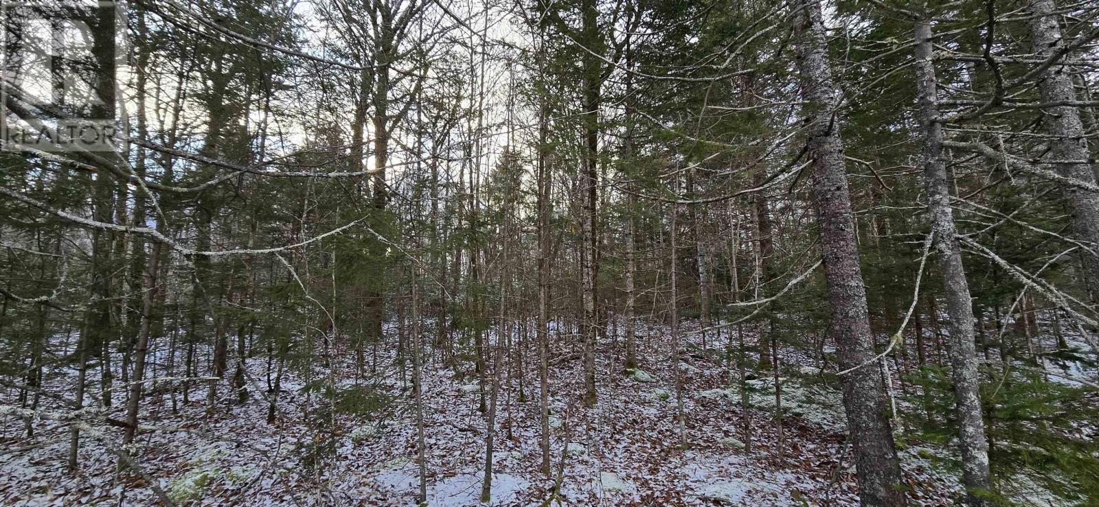 Lot 6 Nathan Croft Road, Camperdown, Nova Scotia  B4V 6T9 - Photo 17 - 202501253