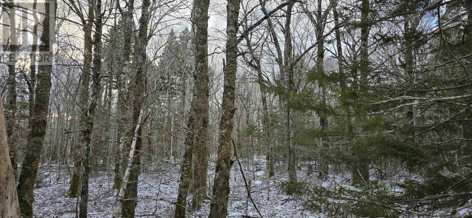 Lot 6 Nathan Croft Road, Camperdown, Nova Scotia  B4V 6T9 - Photo 18 - 202501253