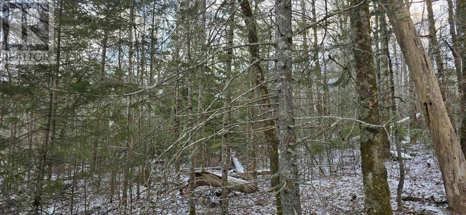 Lot 6 Nathan Croft Road, Camperdown, Nova Scotia  B4V 6T9 - Photo 19 - 202501253