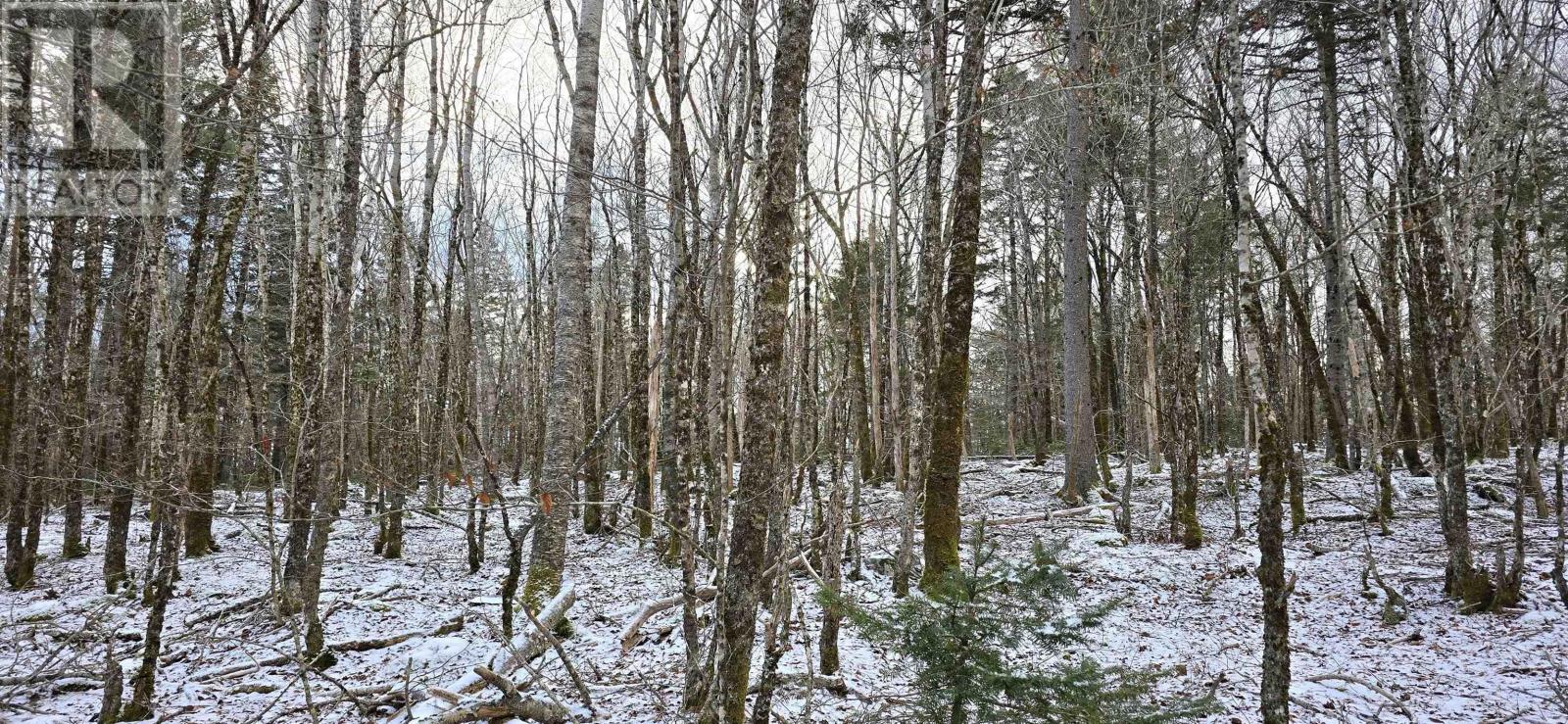 Lot 6 Nathan Croft Road, Camperdown, Nova Scotia  B4V 6T9 - Photo 20 - 202501253