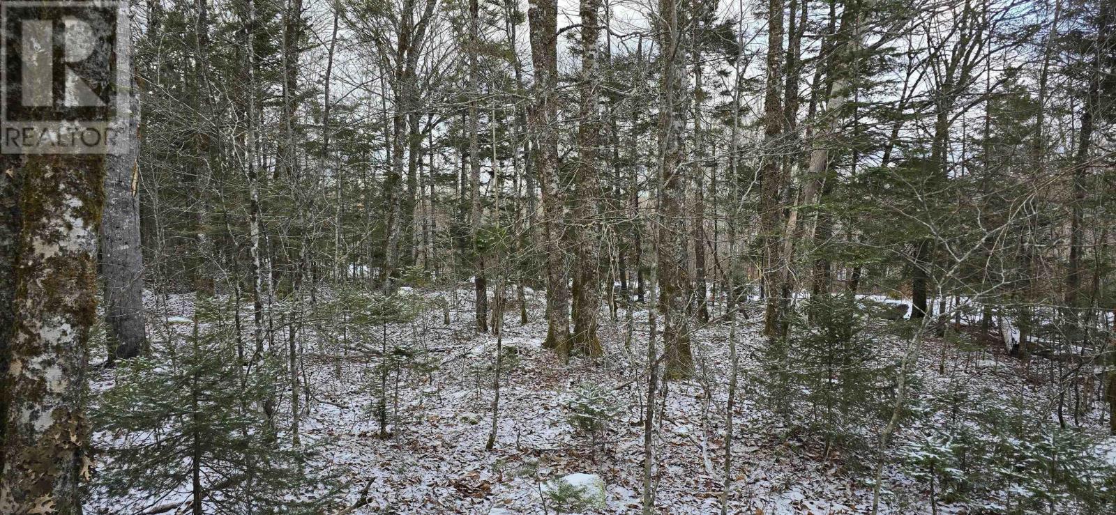 Lot 6 Nathan Croft Road, Camperdown, Nova Scotia  B4V 6T9 - Photo 21 - 202501253