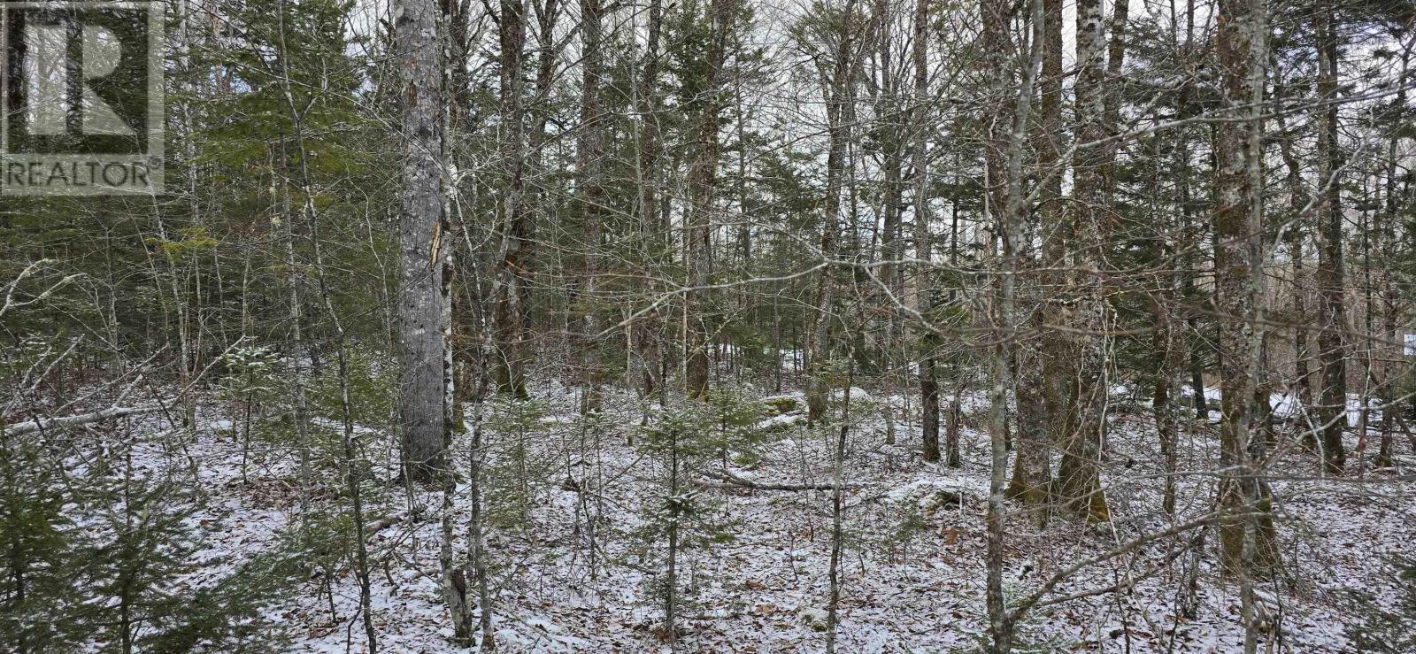 Lot 6 Nathan Croft Road, Camperdown, Nova Scotia  B4V 6T9 - Photo 22 - 202501253