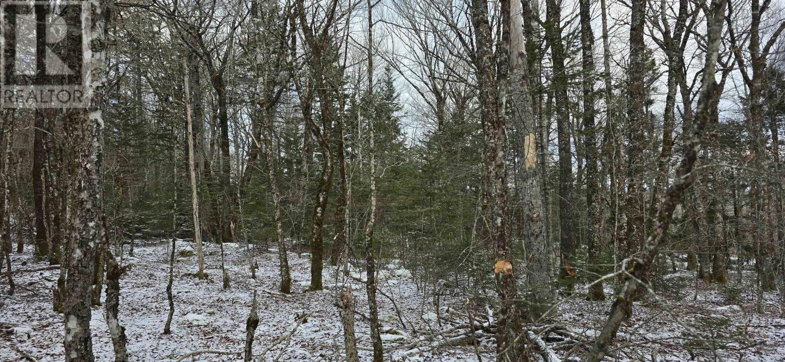 Lot 6 Nathan Croft Road, Camperdown, Nova Scotia  B4V 6T9 - Photo 23 - 202501253