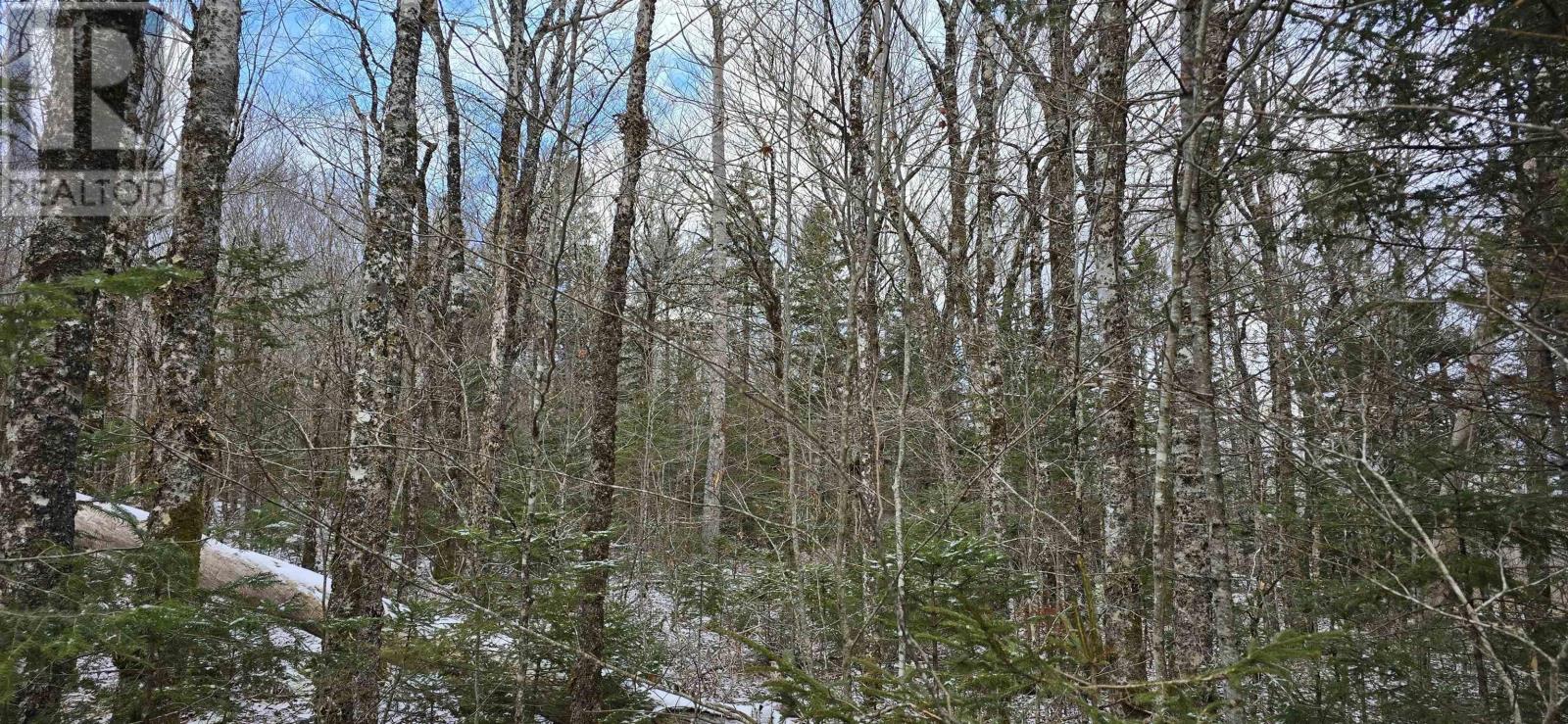 Lot 6 Nathan Croft Road, Camperdown, Nova Scotia  B4V 6T9 - Photo 25 - 202501253