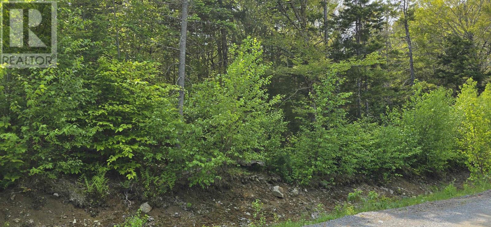 Lot 6 Nathan Croft Road, Camperdown, Nova Scotia  B4V 6T9 - Photo 6 - 202501253