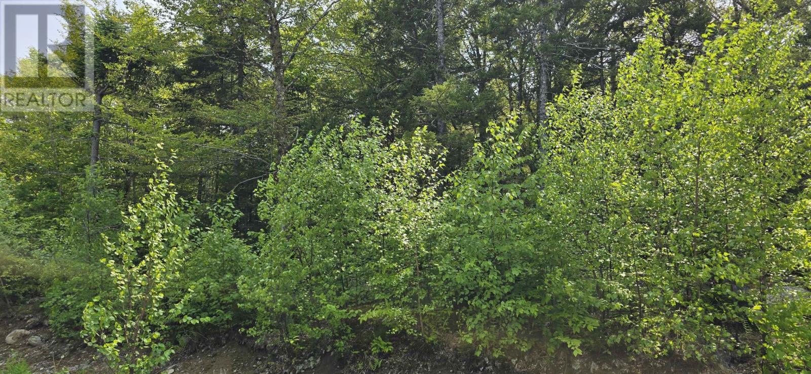 Lot 6 Nathan Croft Road, Camperdown, Nova Scotia  B4V 6T9 - Photo 7 - 202501253