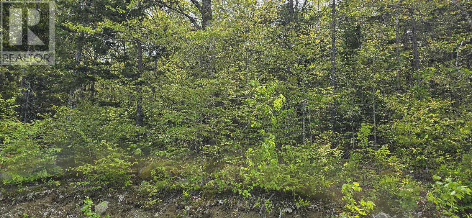 Lot 6 Nathan Croft Road, Camperdown, Nova Scotia  B4V 6T9 - Photo 8 - 202501253