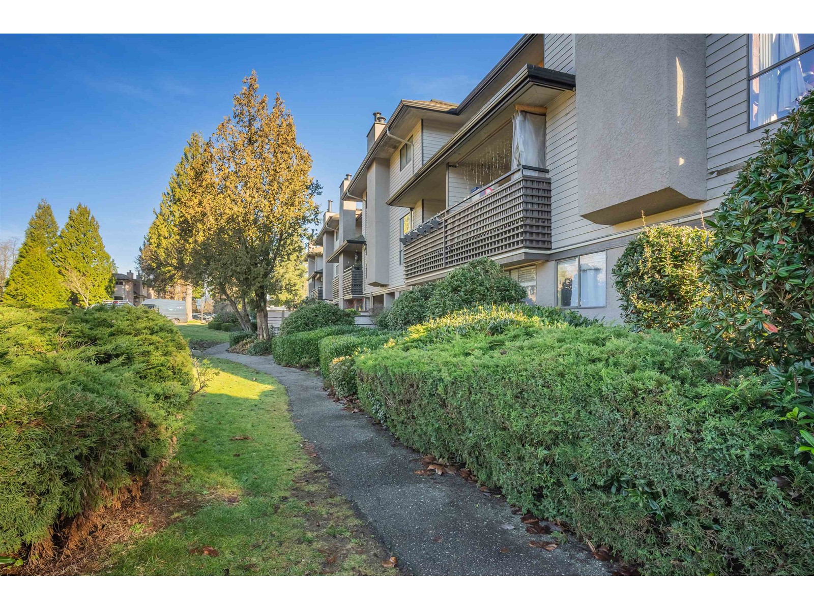 10560 Holly Park Lane, Surrey, British Columbia  V3R 6X9 - Photo 19 - R2956389