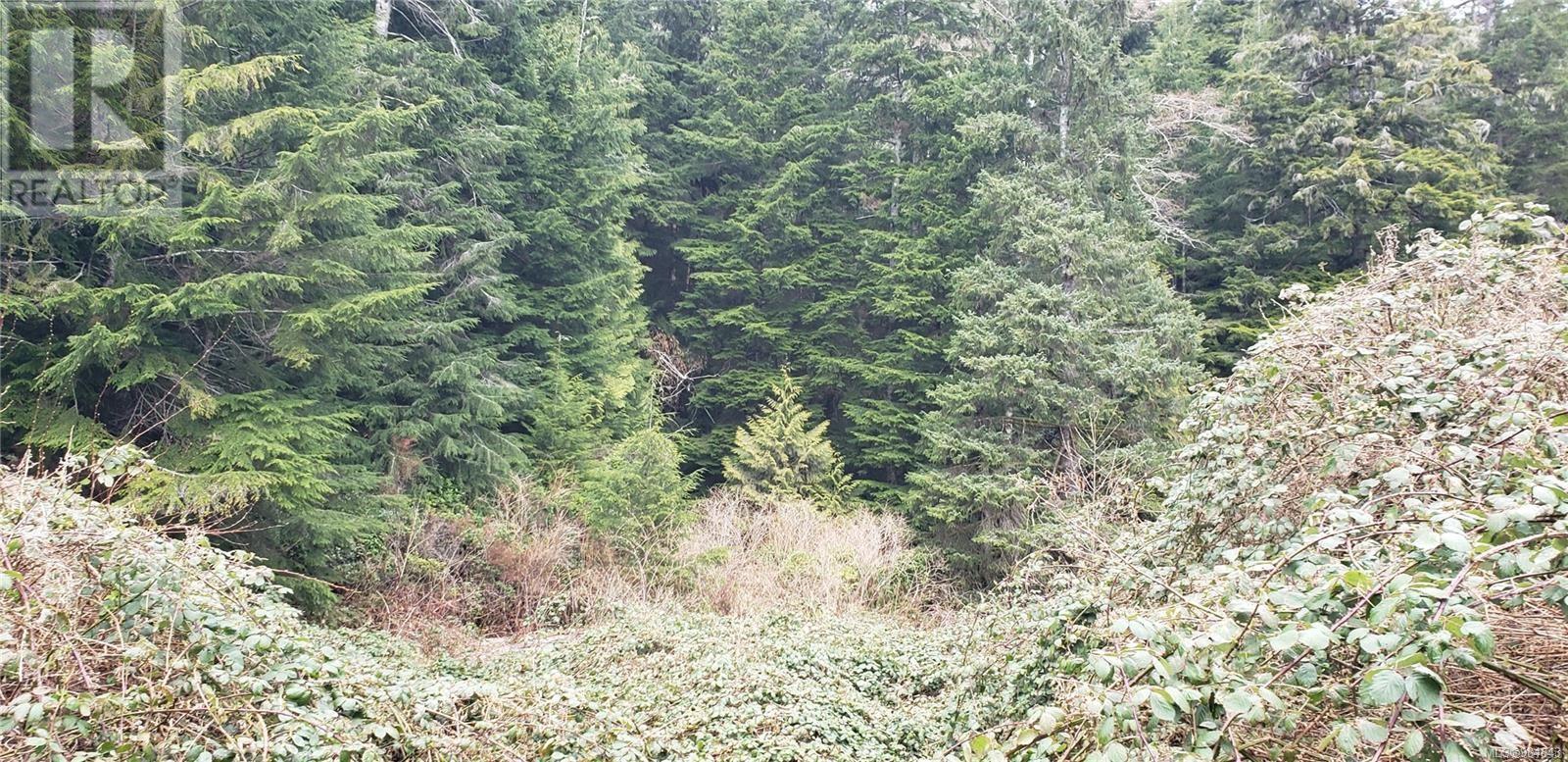Lot 17 Haggard Cove, port alberni, British Columbia V0R2B0