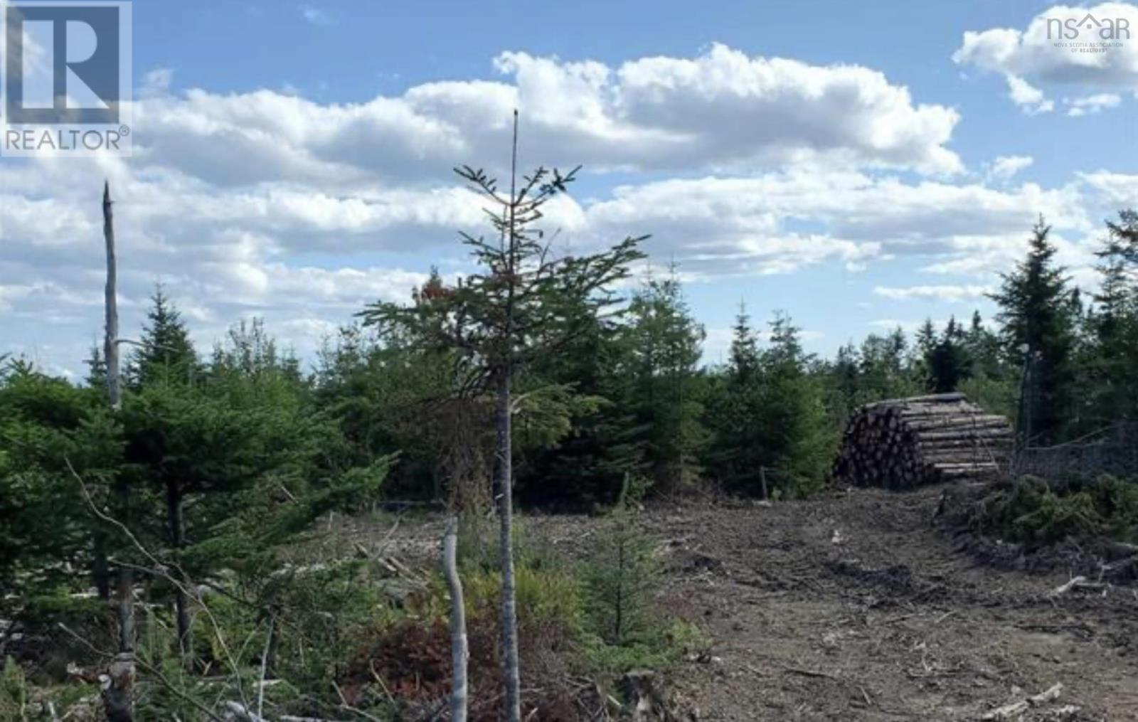 0 Highway255 Round Island Highway, Round Island, Nova Scotia  B1B 1N5 - Photo 2 - 202501188