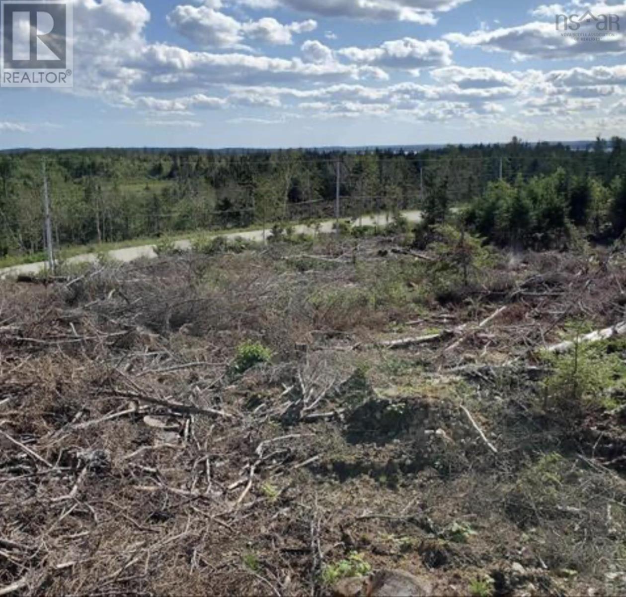 0 Highway255 Round Island Highway, Round Island, Nova Scotia  B1B 1N5 - Photo 3 - 202501188