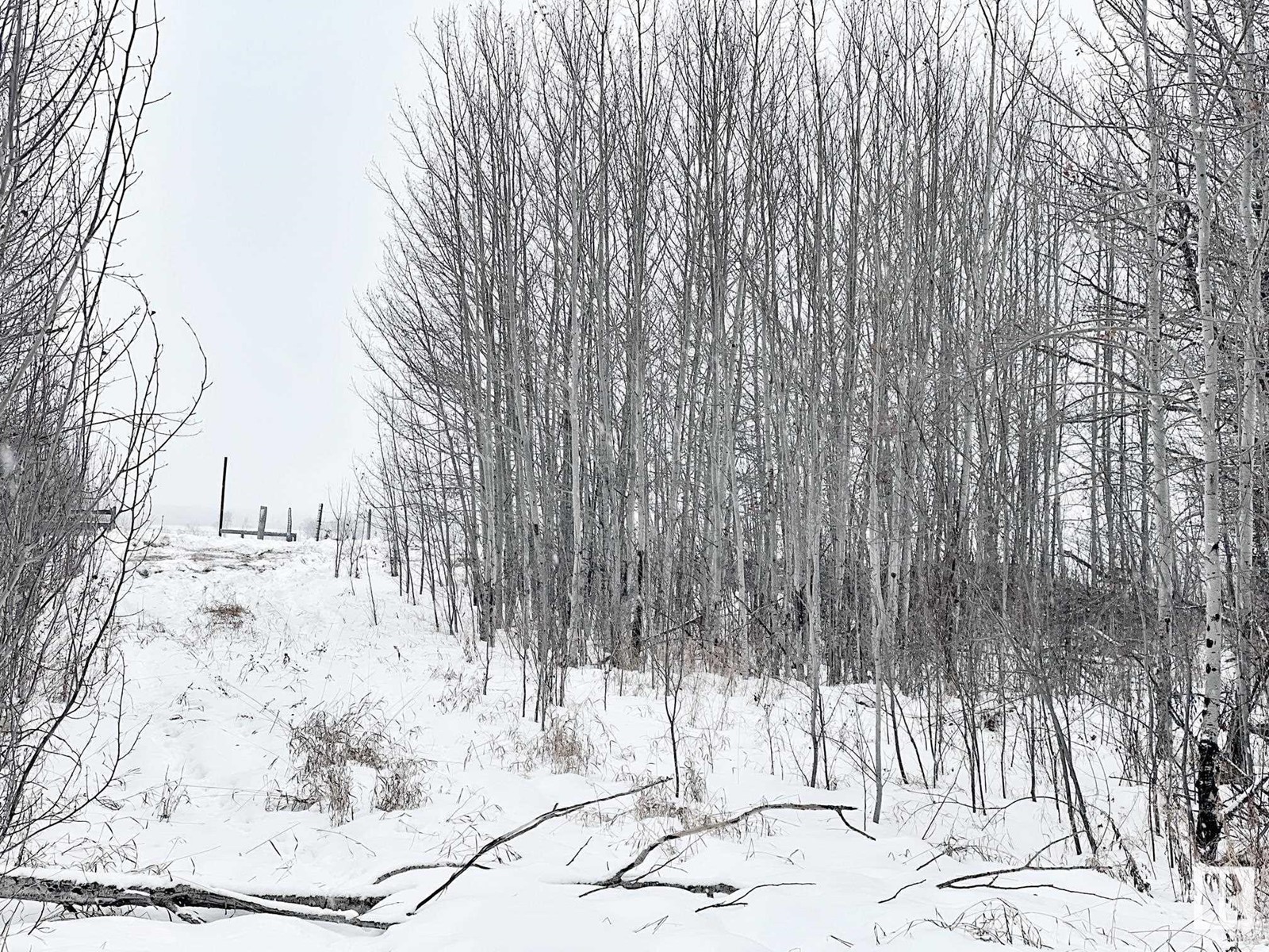 58013 Rge Rd 81, Rural Lac Ste. Anne County, Alberta  T0E 1N0 - Photo 18 - E4416203