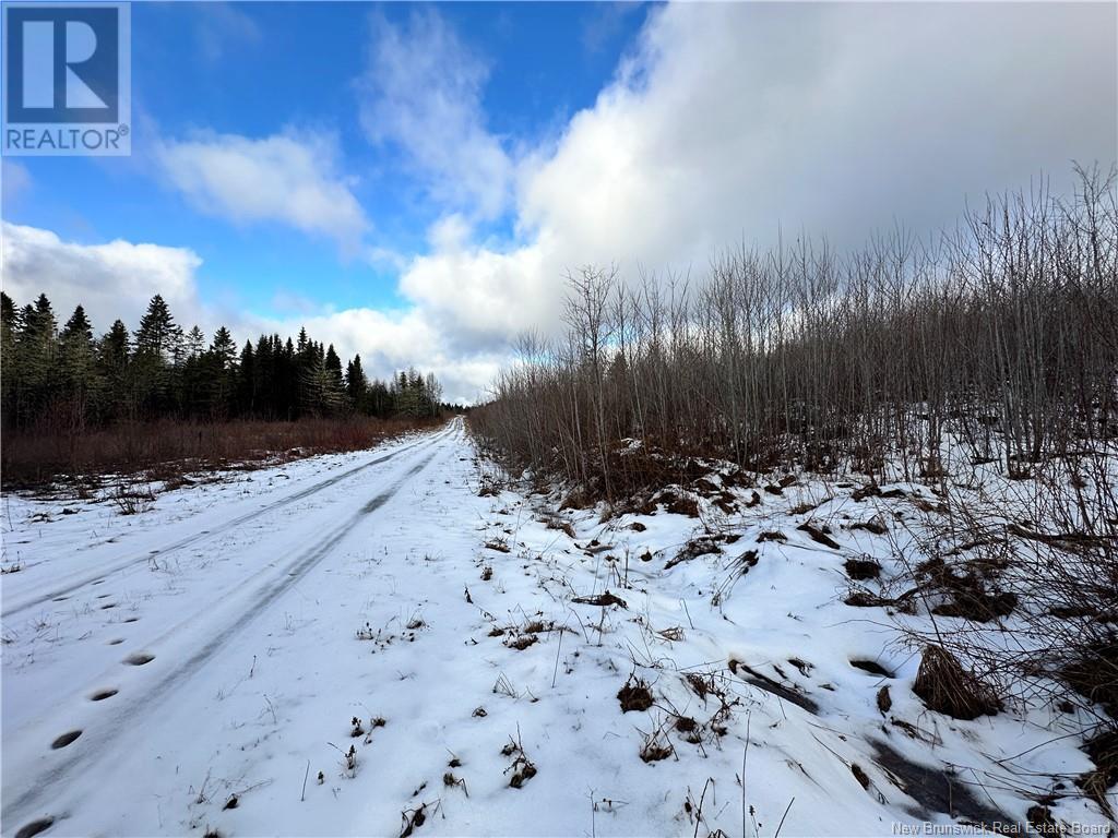 Lot O'Brien, Head Of Millstream, New Brunswick