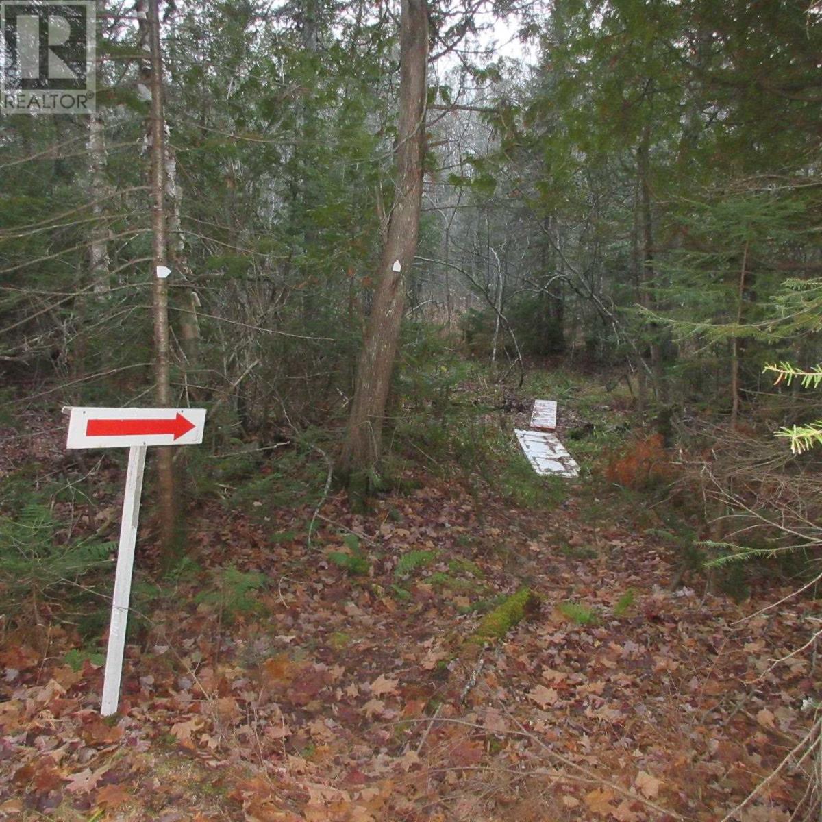 1513 Maki Rd, Sault Ste. Marie, Ontario  P6A 6K4 - Photo 11 - SM242804