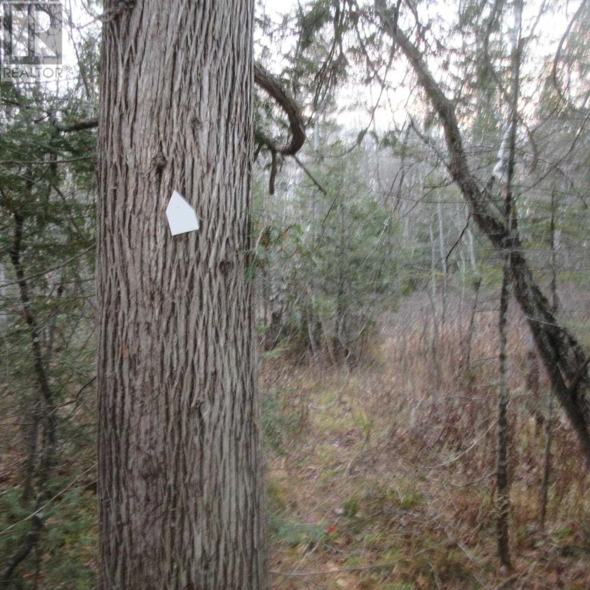 1513 Maki Rd, Sault Ste. Marie, Ontario  P6A 6K4 - Photo 12 - SM242804