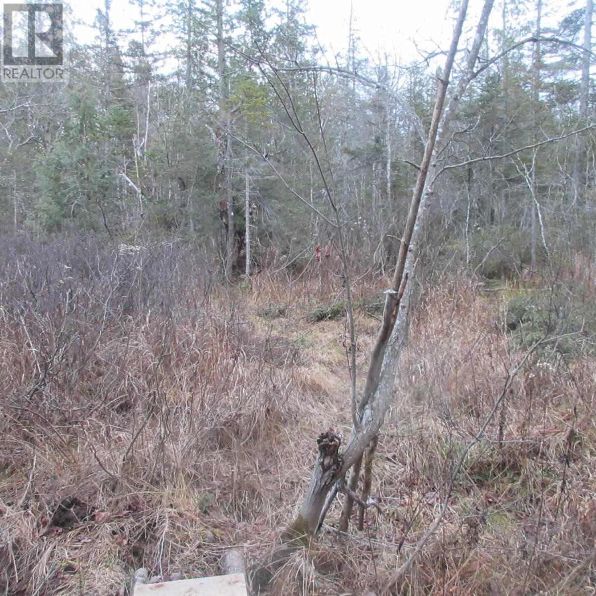 1513 Maki Rd, Sault Ste. Marie, Ontario  P6A 6K4 - Photo 17 - SM242804