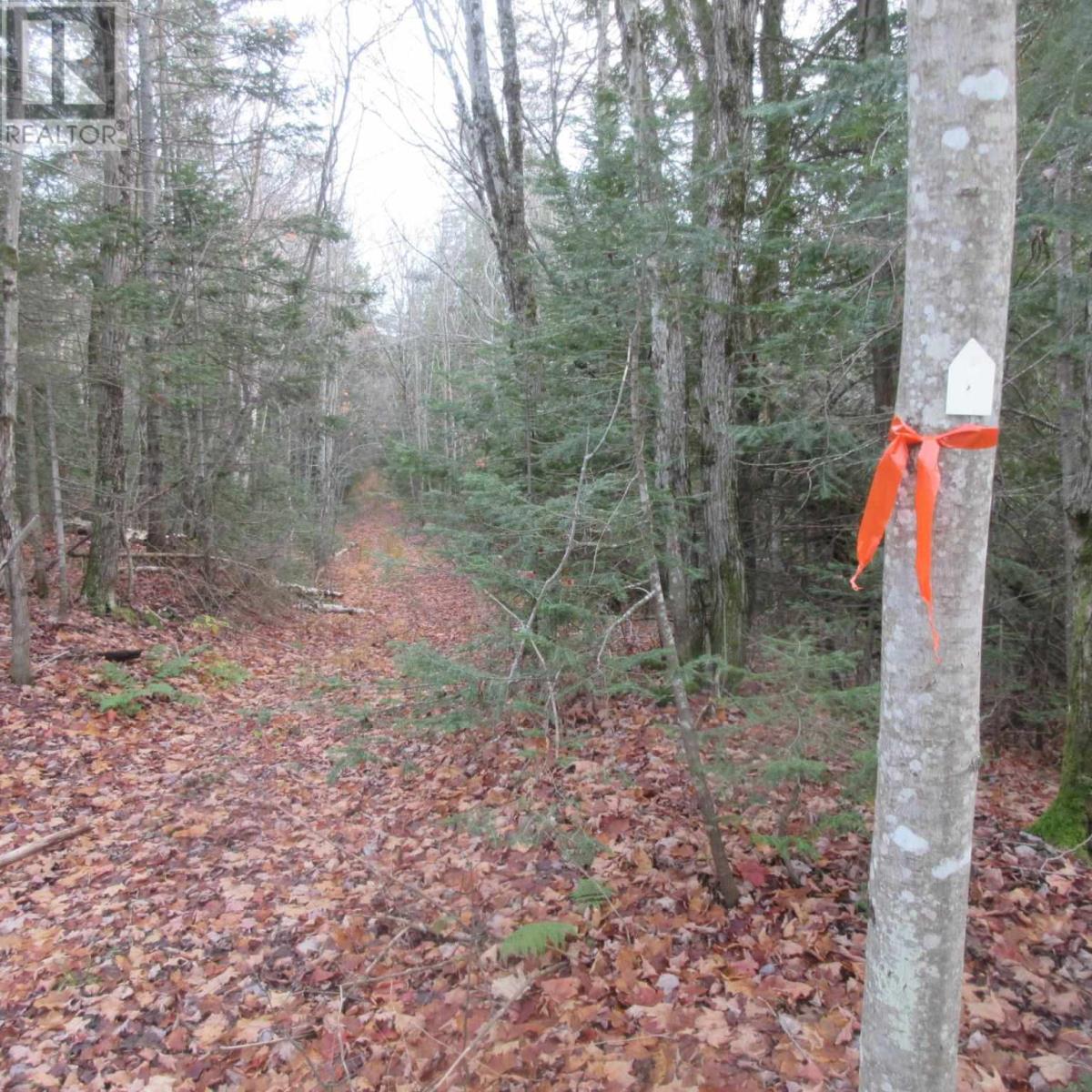 1513 Maki Rd, Sault Ste. Marie, Ontario  P6A 6K4 - Photo 9 - SM242804