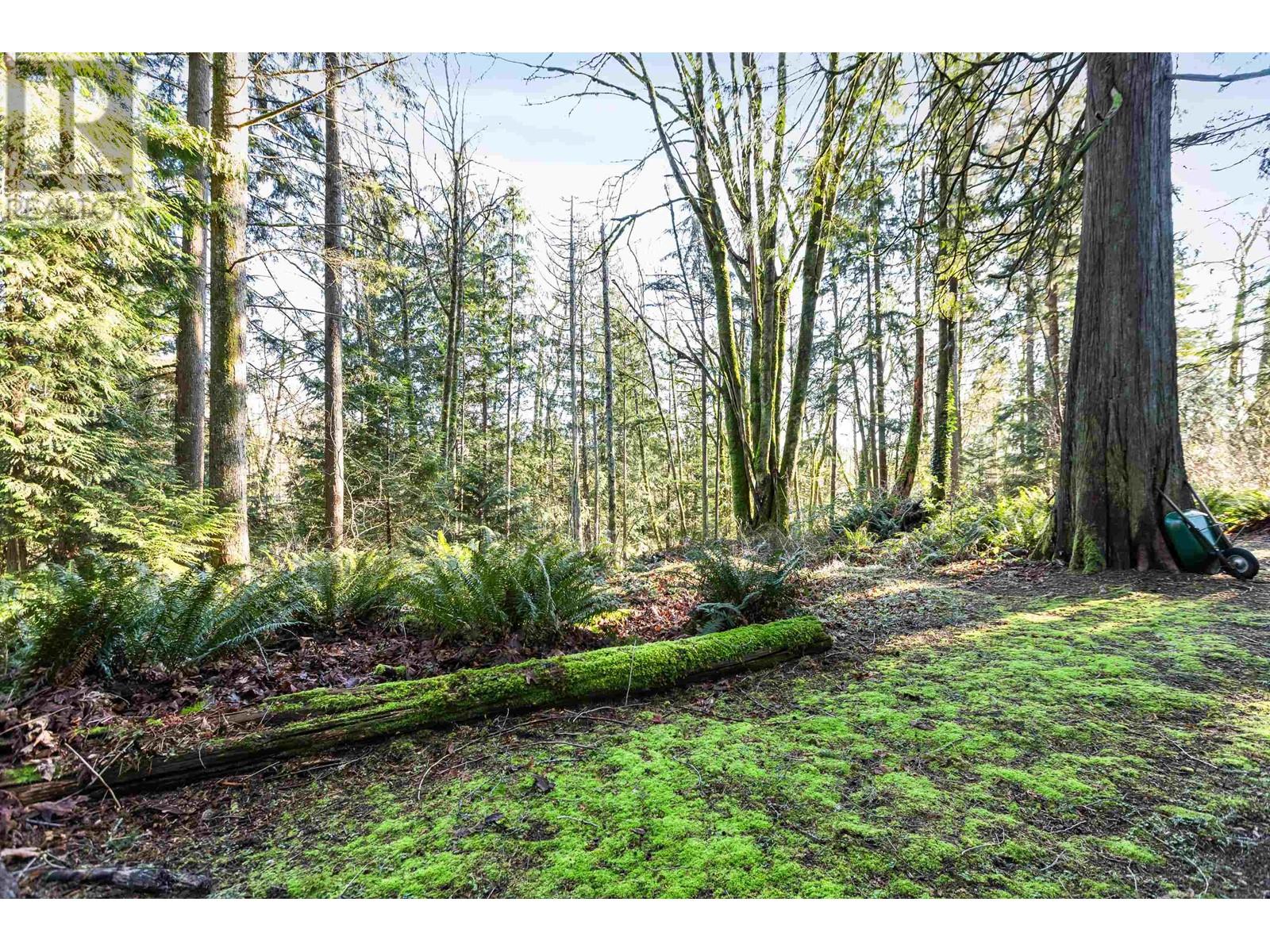 13060 238 Street, Maple Ridge, British Columbia  V4R 2S4 - Photo 33 - R2958152