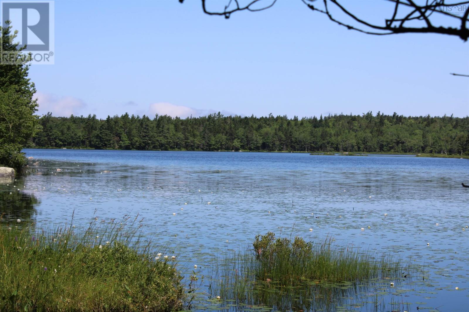 West Dalhousie Road, Lake La Rose, Nova Scotia  B0S 1A0 - Photo 10 - 202501287