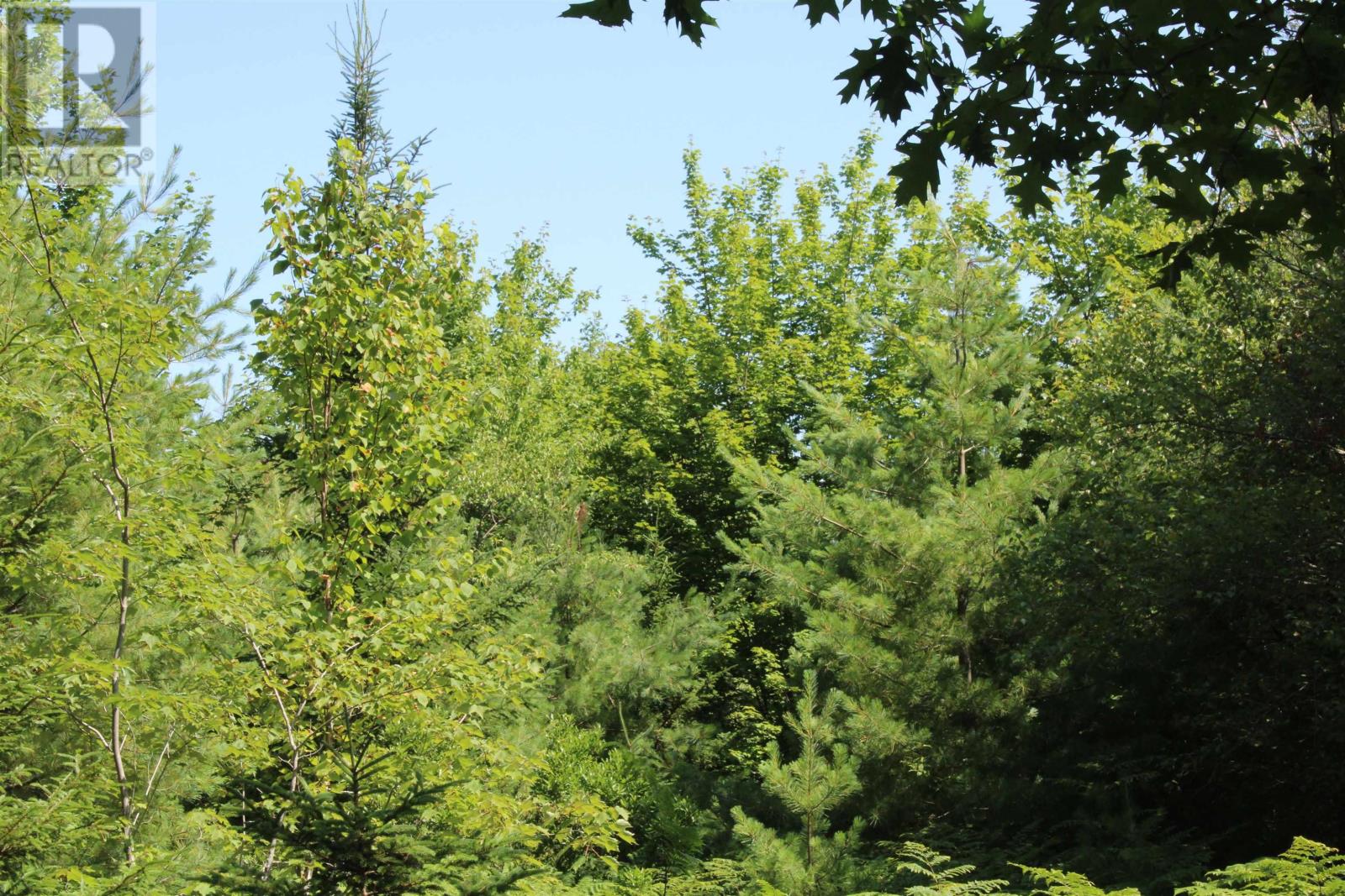 West Dalhousie Road, Lake La Rose, Nova Scotia  B0S 1A0 - Photo 12 - 202501287