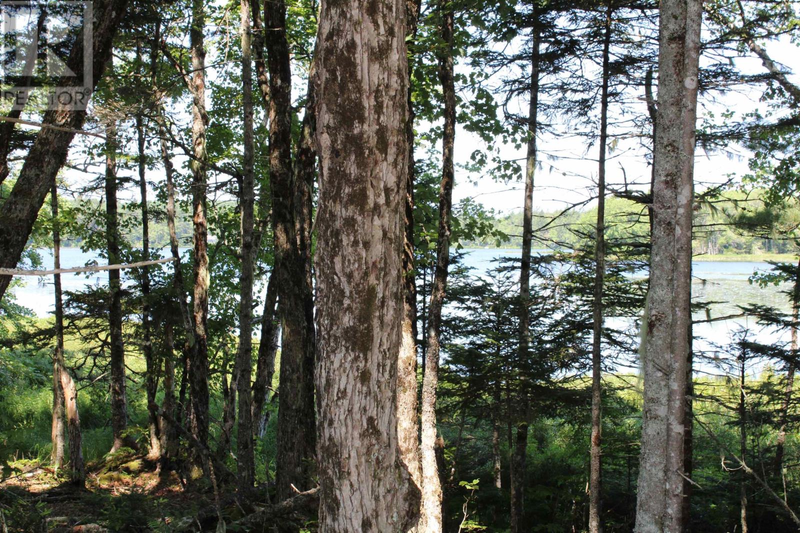 West Dalhousie Road, Lake La Rose, Nova Scotia  B0S 1A0 - Photo 15 - 202501287