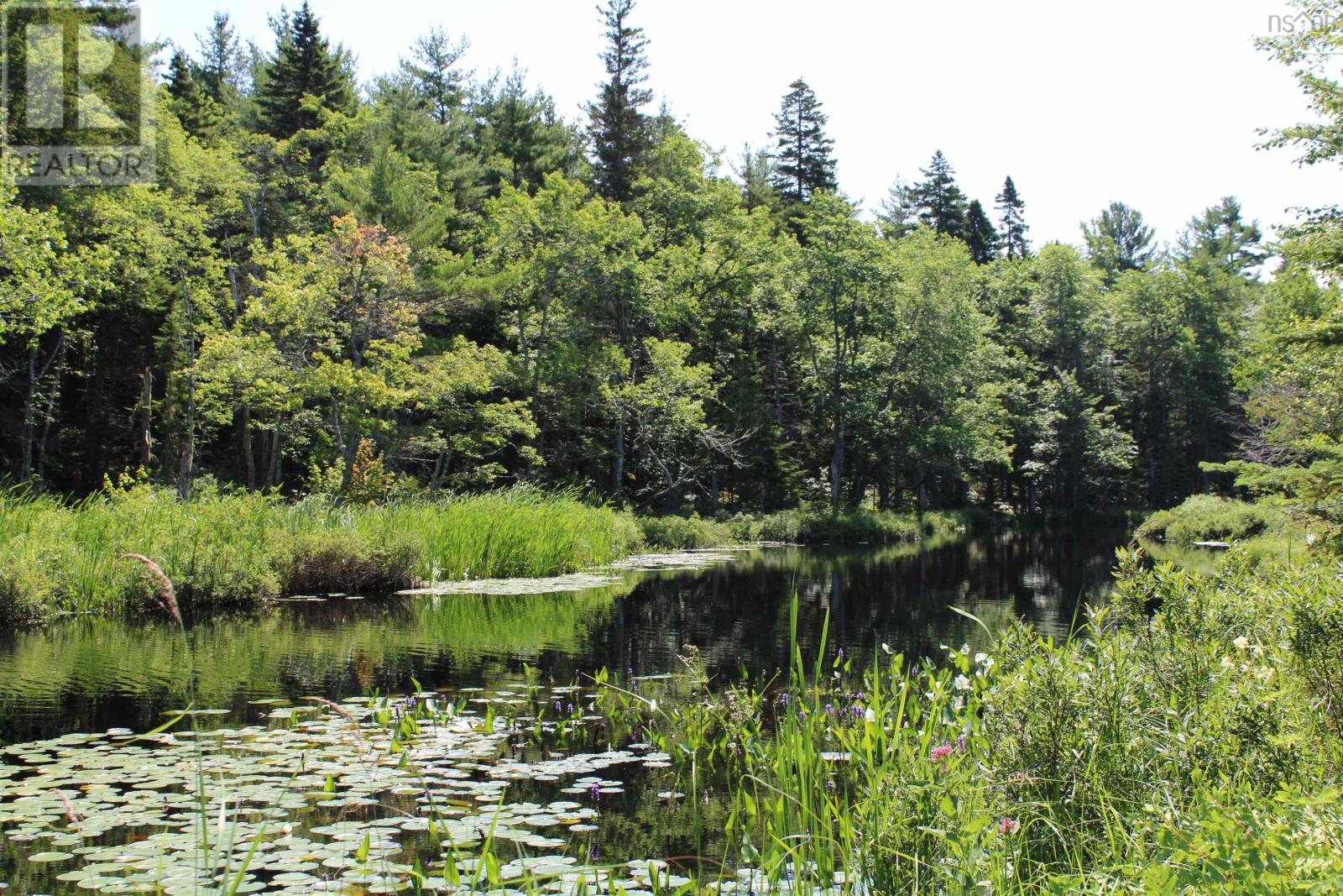 West Dalhousie Road, Lake La Rose, Nova Scotia  B0S 1A0 - Photo 3 - 202501287