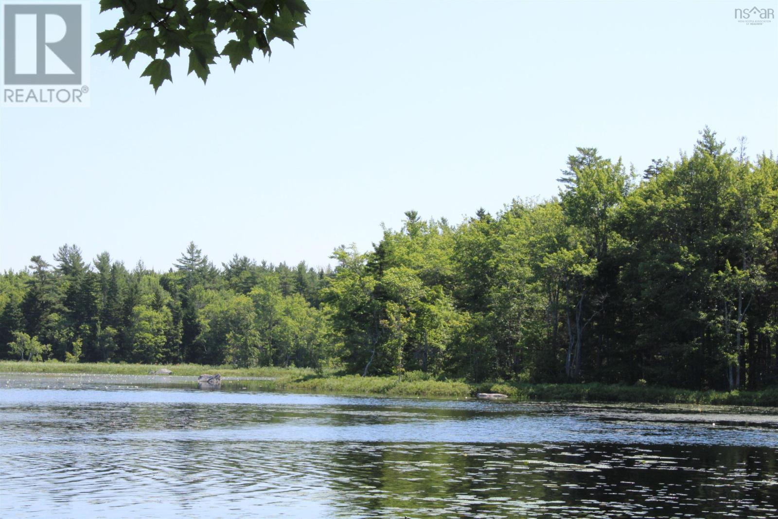 West Dalhousie Road, Lake La Rose, Nova Scotia  B0S 1A0 - Photo 7 - 202501287