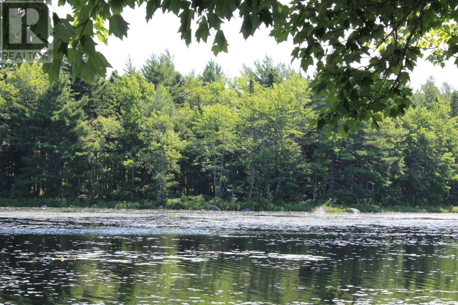 West Dalhousie Road, Lake La Rose, Nova Scotia  B0S 1A0 - Photo 8 - 202501287