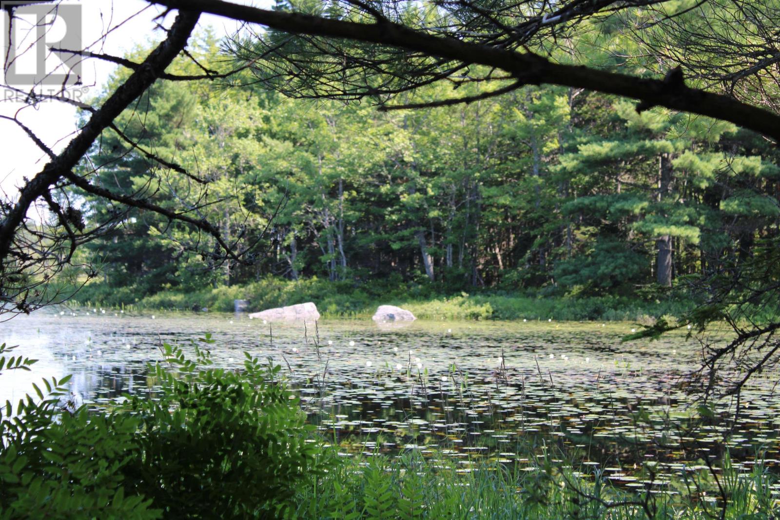 West Dalhousie Road, Lake La Rose, Nova Scotia  B0S 1A0 - Photo 9 - 202501287