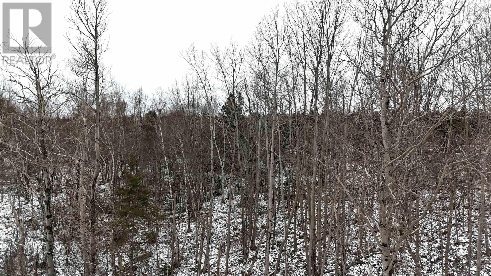 Lot 102 East Clifford Road, East Clifford, Nova Scotia  B4V 7R8 - Photo 14 - 202501296