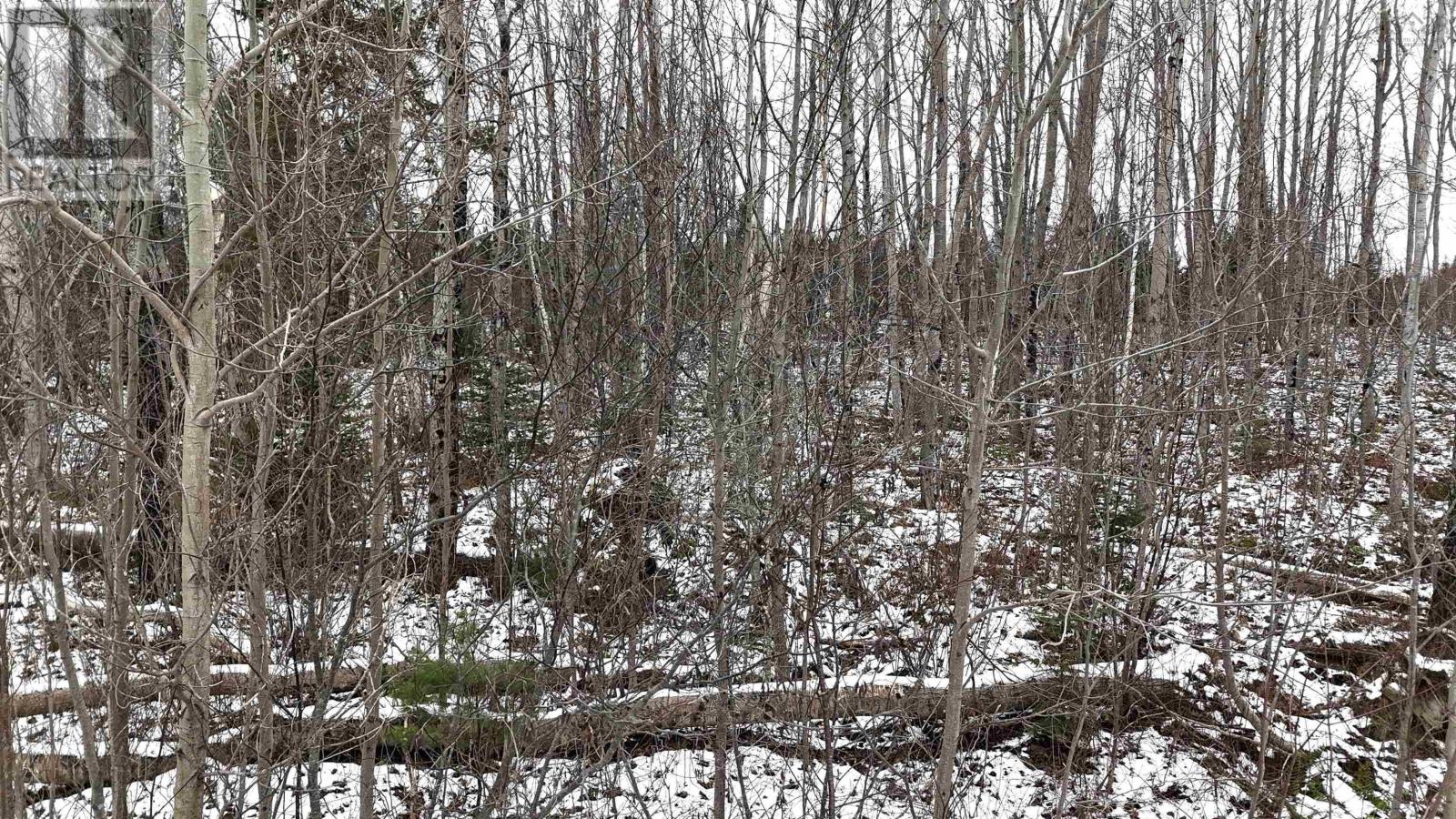 Lot 102 East Clifford Road, East Clifford, Nova Scotia  B4V 7R8 - Photo 16 - 202501296