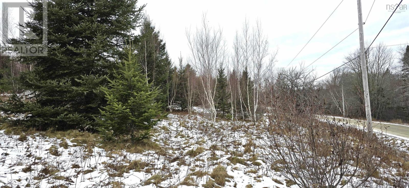 Lot 105 East Clifford Road, East Clifford, Nova Scotia  B4V 7R8 - Photo 1 - 202501300